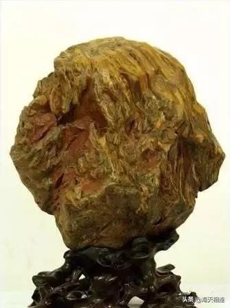 难得一见的仙鹤假奇石,这些难得一见的奇石美醉了