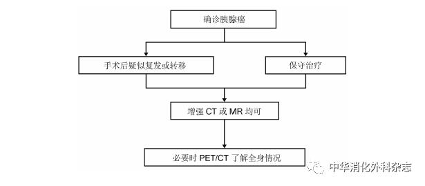 胰腺癌诊疗指南解读与实践,胰腺癌诊疗指南2021