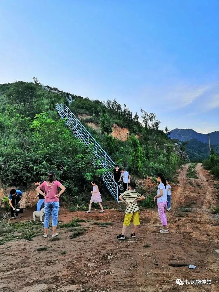 咬定青山不放松全诗作者,咬定青山不放松大师朗读