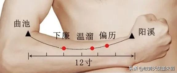 补中安神的穴位,安神镇惊清热除烦的穴位有哪些