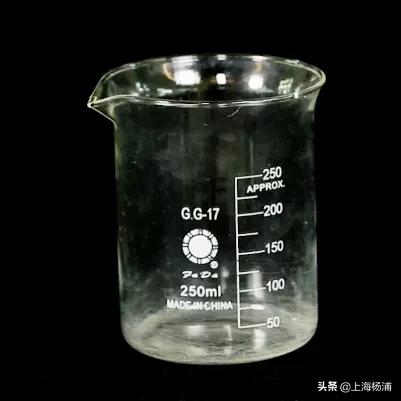 动手做一枚“叶脉书签”吧，好看又实用！【春节宅家手工】