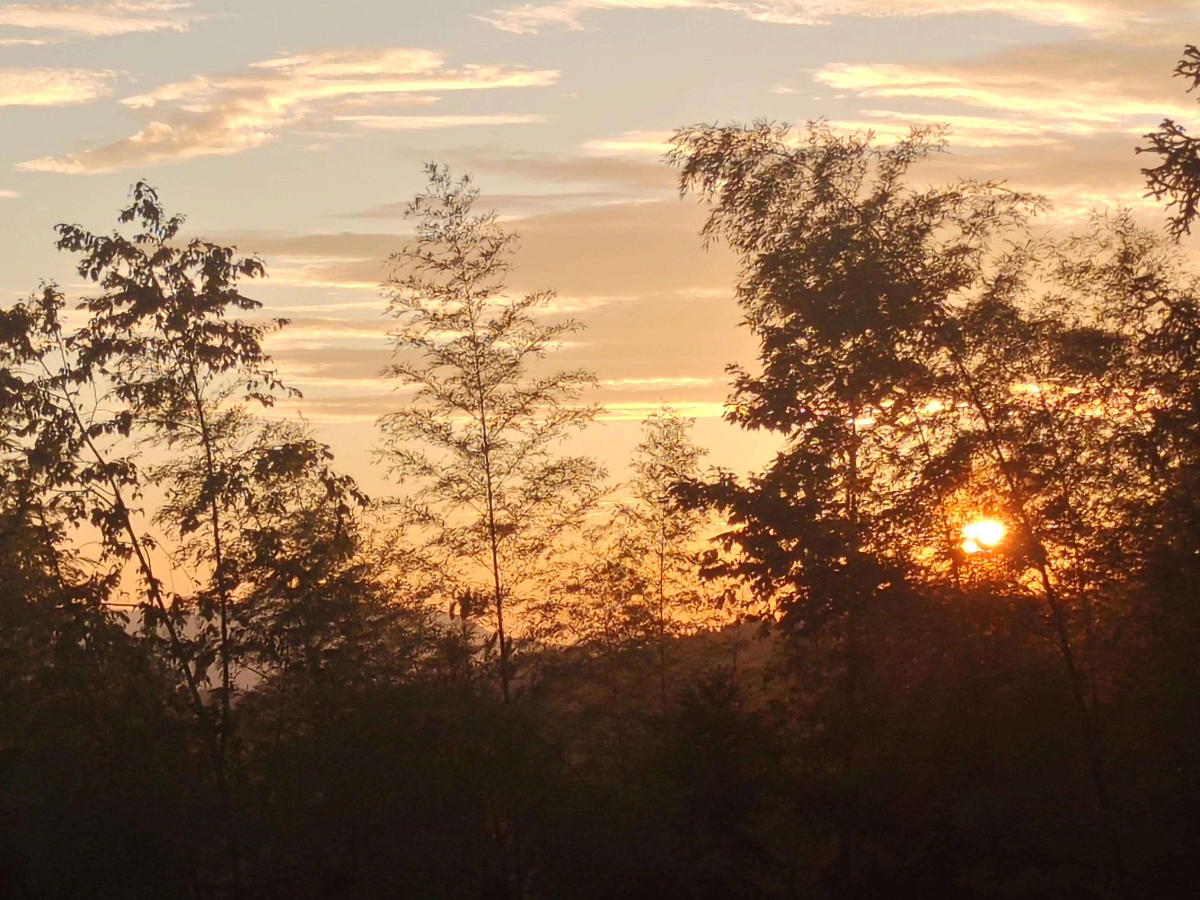 哪些副业是可以在家挣钱的,推荐6个在家就能做的兼职