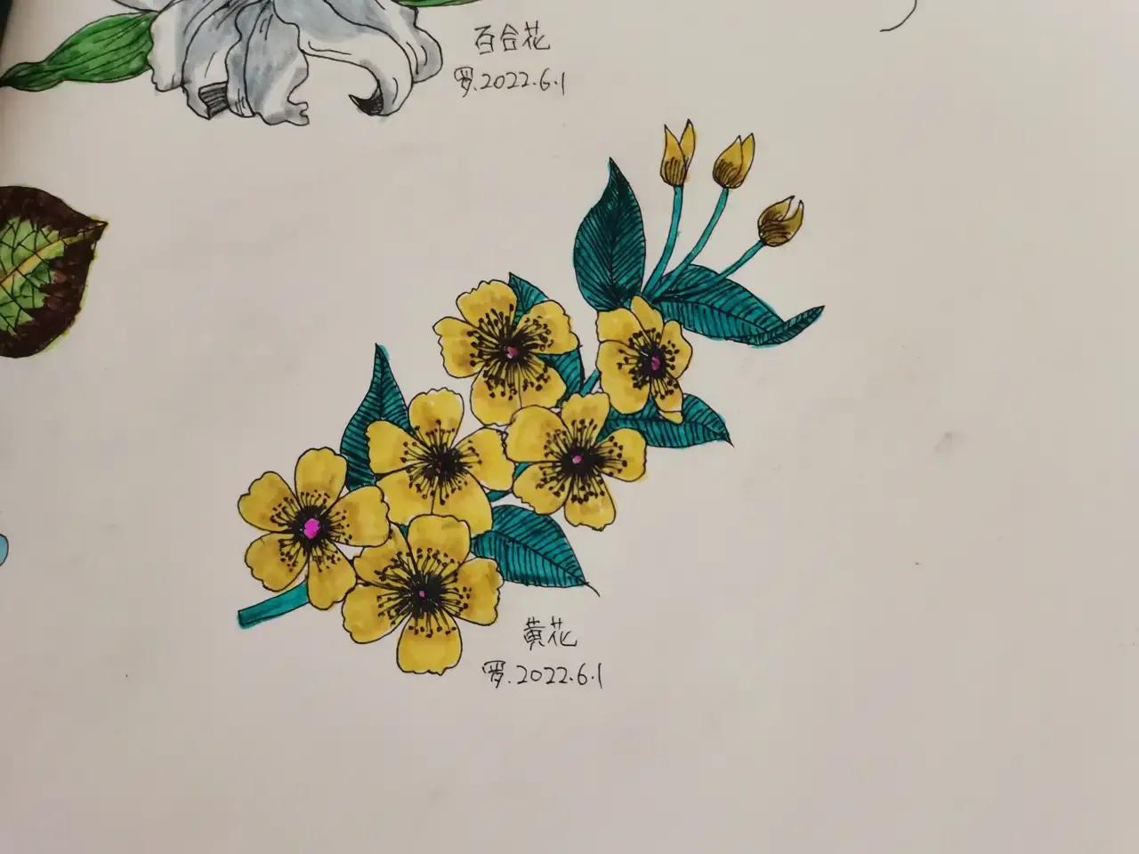 自学画画几年才有成果,自学画画一星期