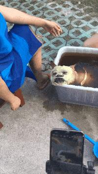 每日一笑逗乐妹子,每日一逗完整版