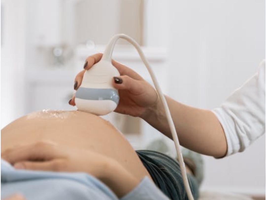 生男生女到底谁说了算？