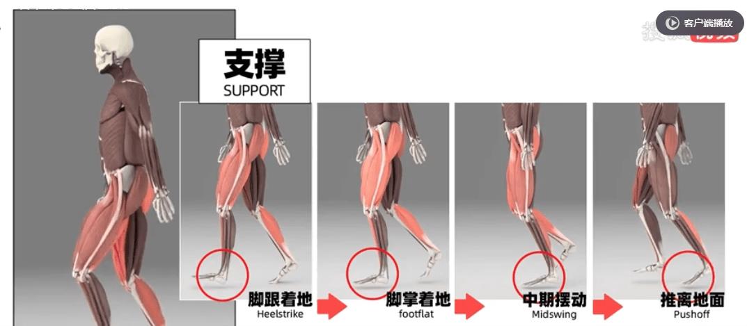 鞋带总散架因为你打结手法一直是错的？
