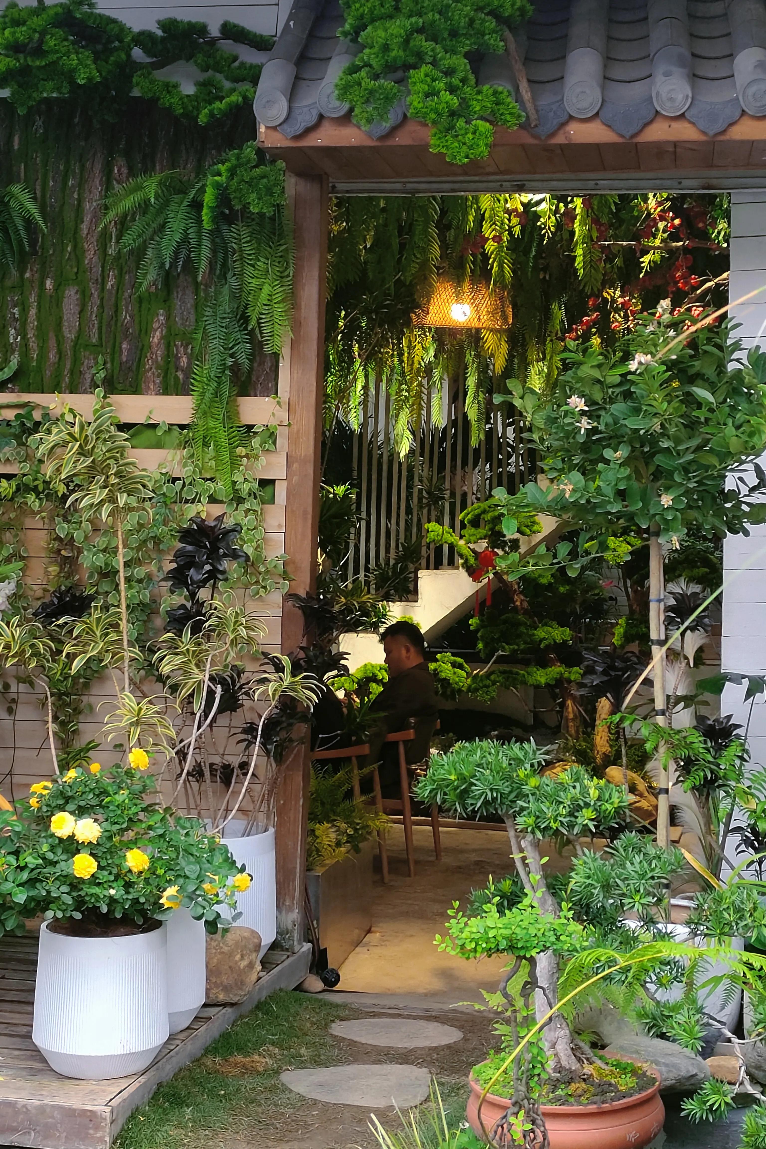 广西花鸟市场和南宁花鸟市场,广西平果花鸟市场在哪里