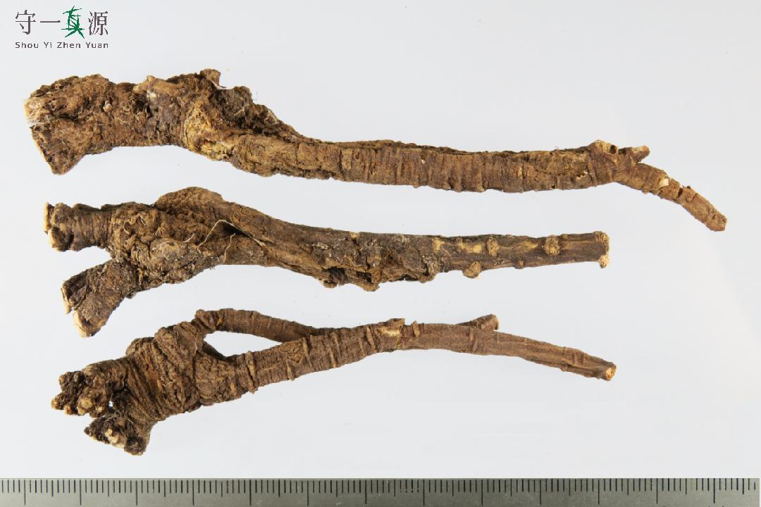 中药鉴定真假找谁,柴胡真假优劣鉴别