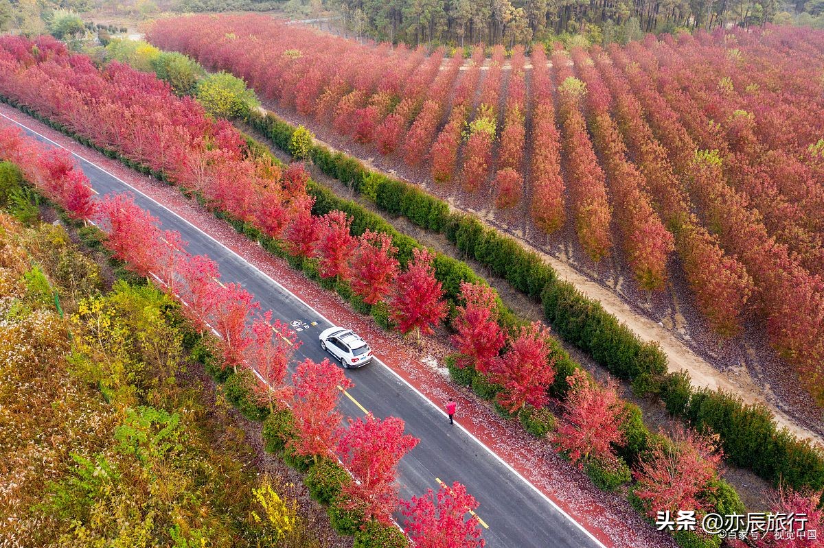 南昌秋季旅游攻略最新版,南昌秋季好玩的地方推荐