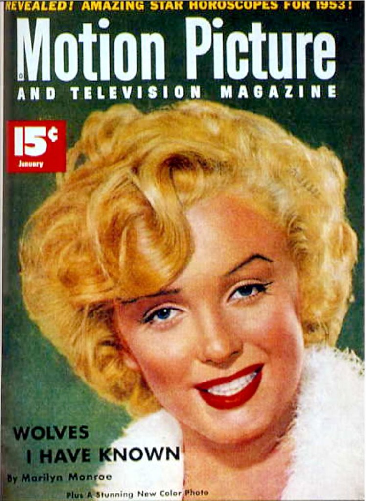 网飞新剧怒呛人生,网飞亚裔神剧怒呛人生