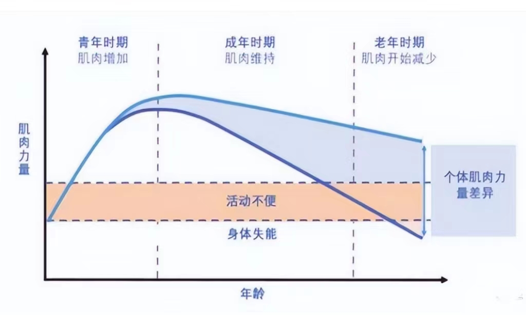 老年人稍微胖点,老年人微胖好还是微瘦好