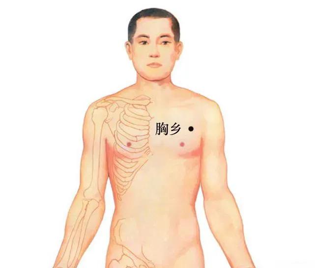左胸部疼痛对应穴位,胸部胀痛灸什么穴