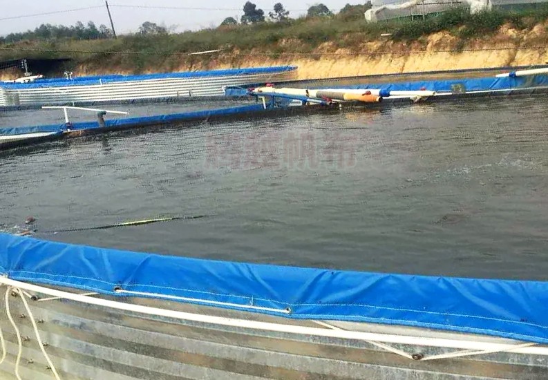 帆布鱼池淡水养殖应具备什么条件,镀锌板帆布鱼池养甲鱼周期