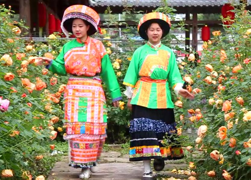 大寨玫瑰花海迷宫,花海迷宫大寨