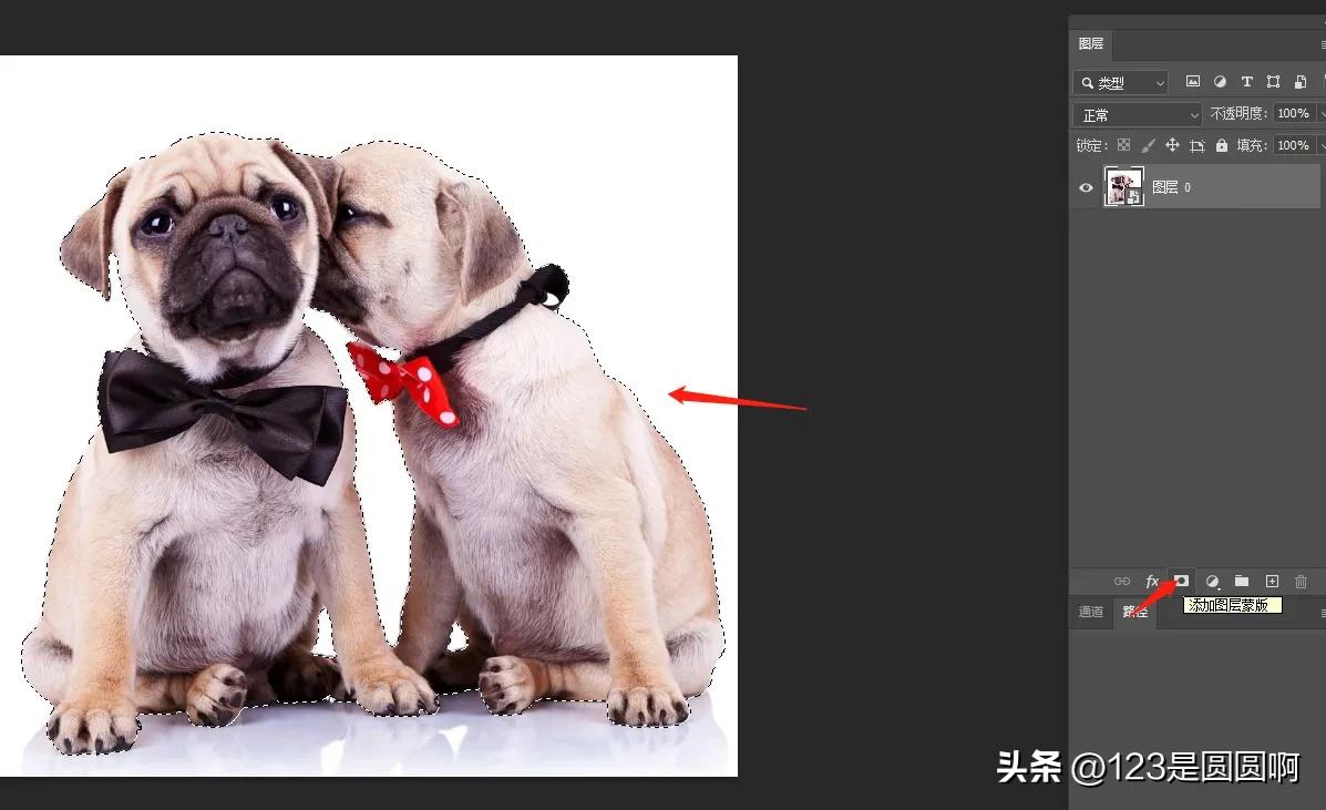 如何用ps将图片背景设为透明,怎么用ps把章背景做成透明的