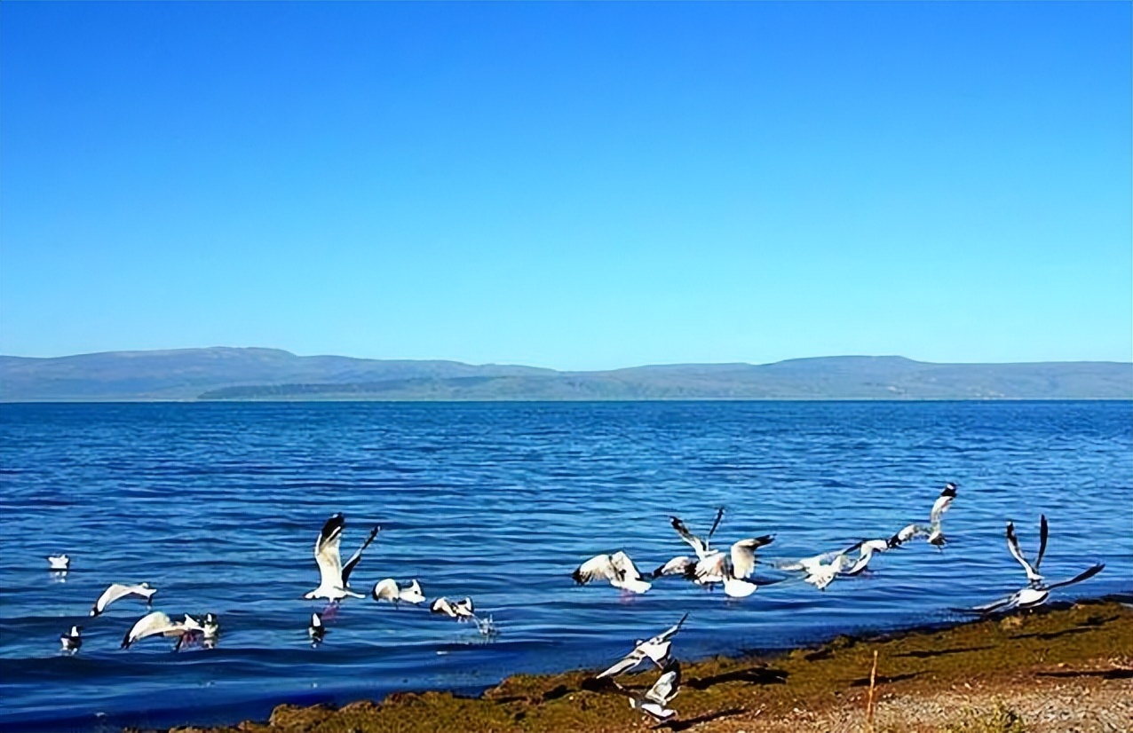 青海湖最新最全旅游攻略,去青海湖旅游哪个季节最好最美呢