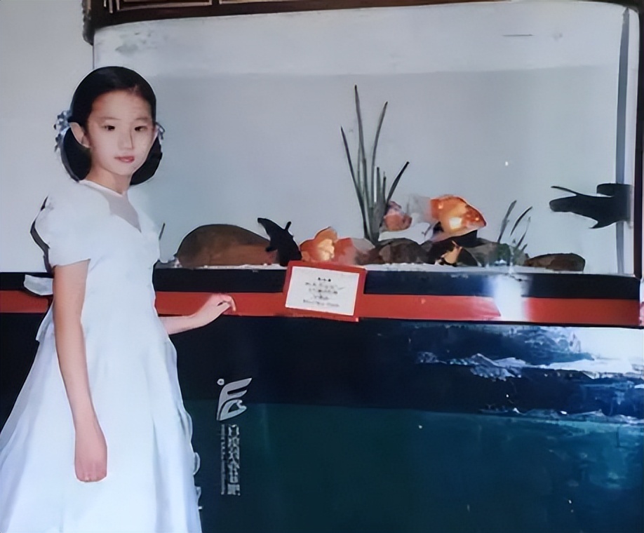 全家最丑刘亦菲,多年后才发现,“神仙姐姐”口中的妈妈有多优秀