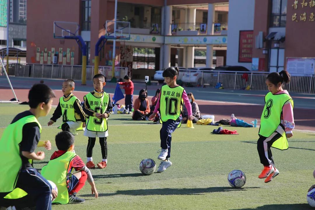 我为群众办实事公益讲堂,我为群众办实事学生版活动方案