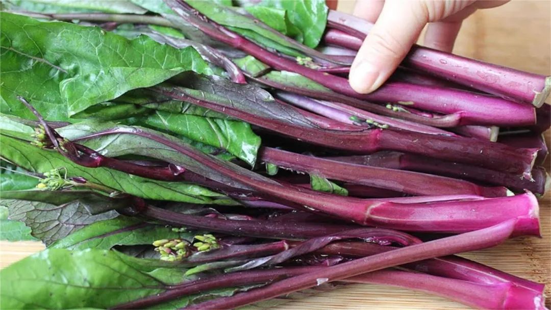 养肝明目不输蒲公英的食物,养肝吃蒲公英