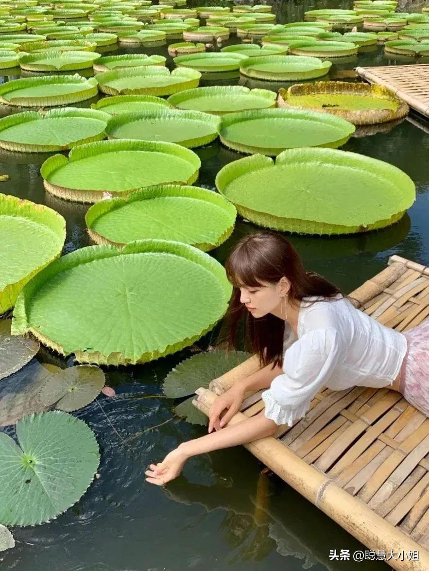 云南，80%年轻人最爱的度假圣地