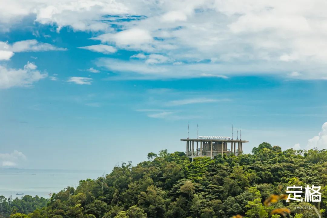 深圳最值得去的十个地方,深圳吃货必去的地方