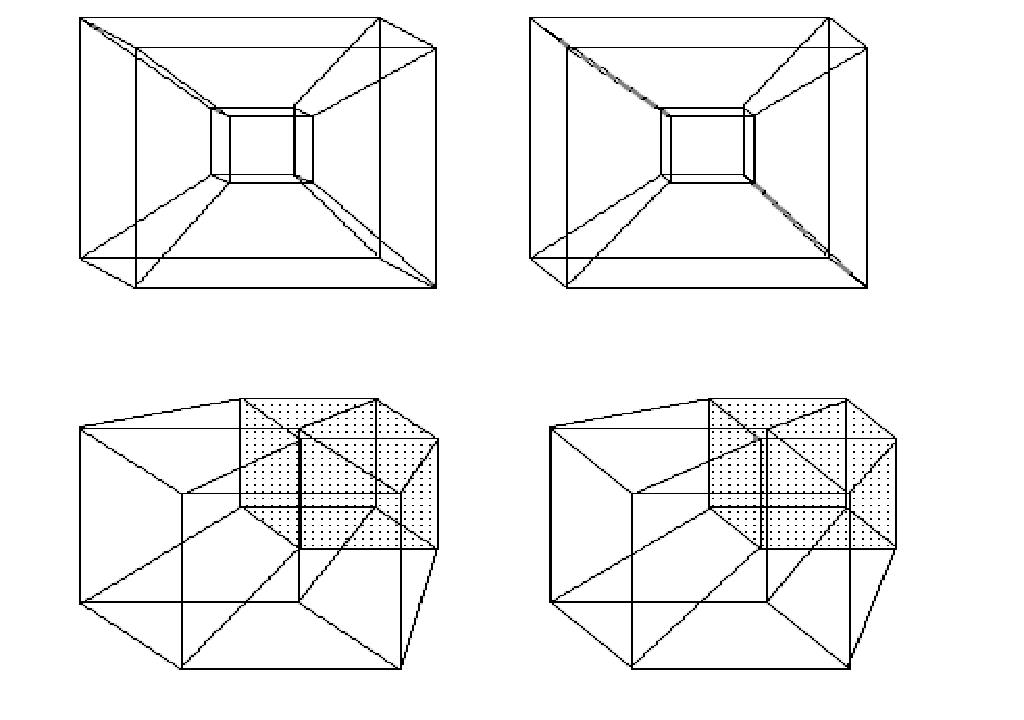 闵可夫斯基四维时空全息投影,闵可夫斯基天才简史