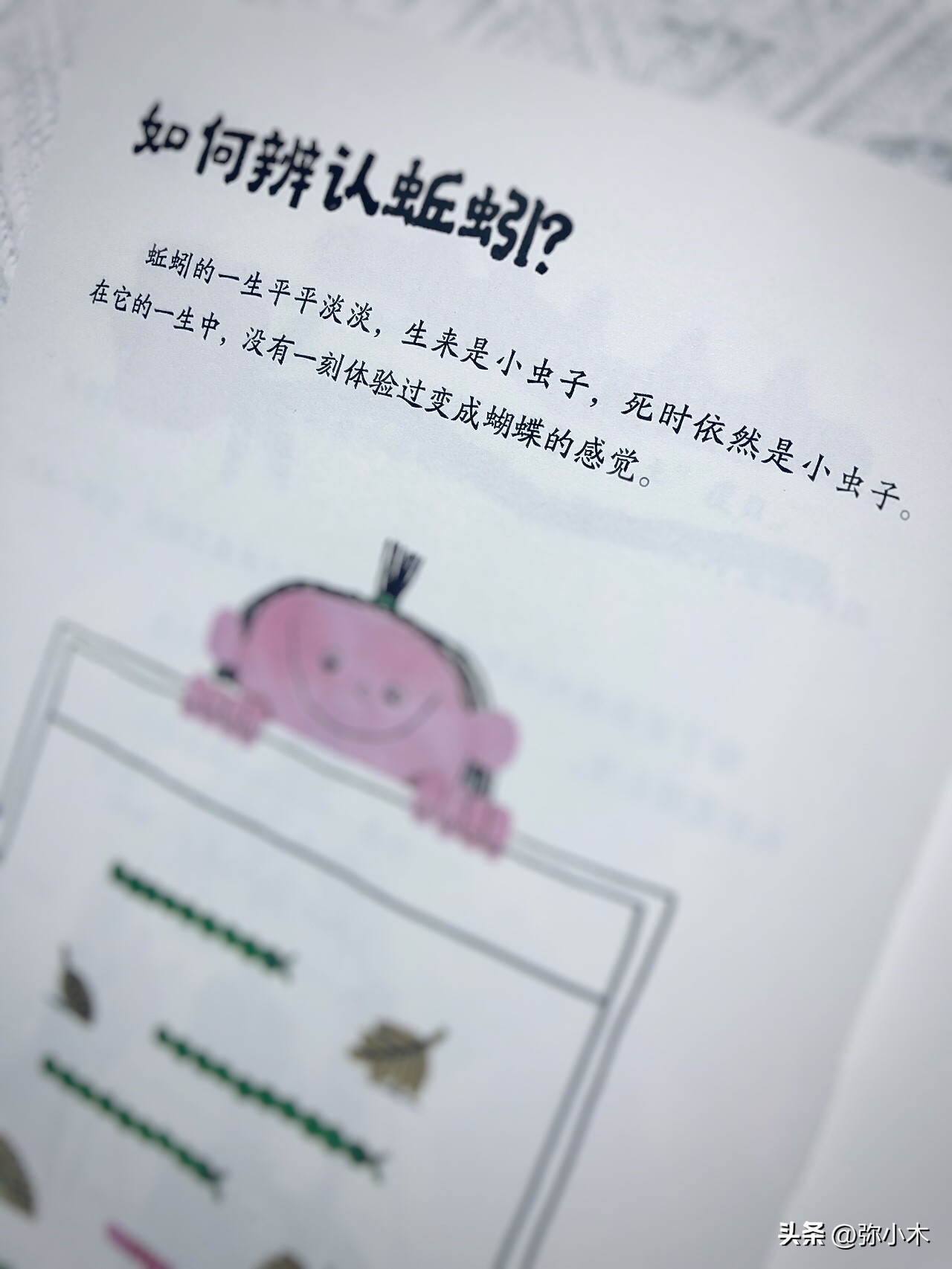 小朋友对蚯蚓的了解,蚯蚓带给孩子的乐趣