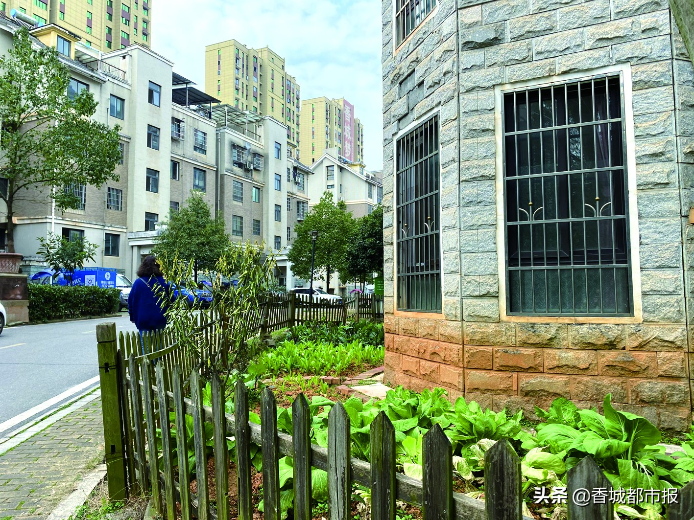 圈起来种菜,围起来栅栏种菜