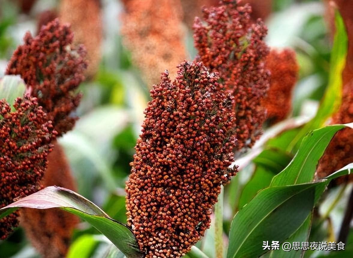 烟酒专卖店会赔钱吗,烟酒零售店生意不好做