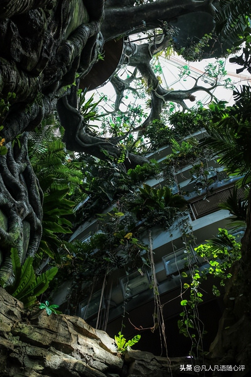 迪拜旅游风景如画,迪拜游玩地图