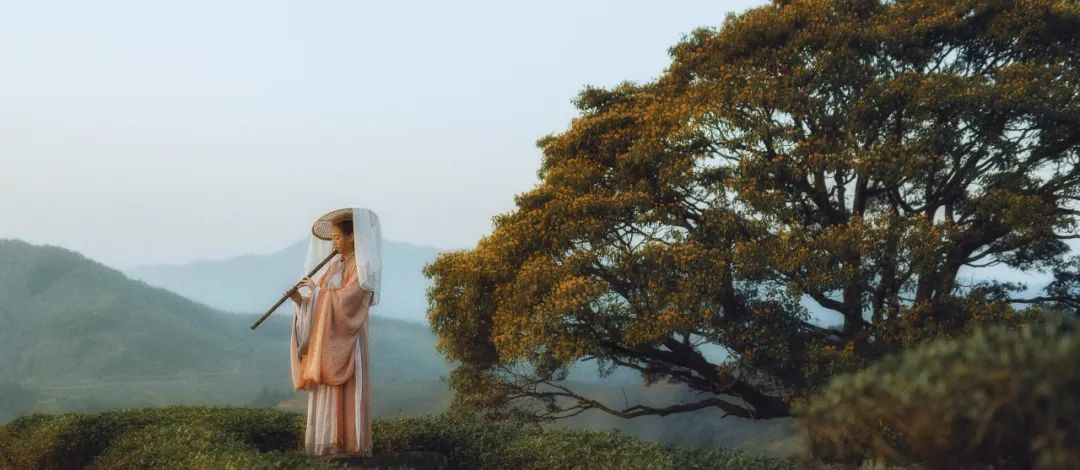 范仲淹岳阳楼记中的格局情怀,读懂范仲淹你才能读懂岳阳楼记