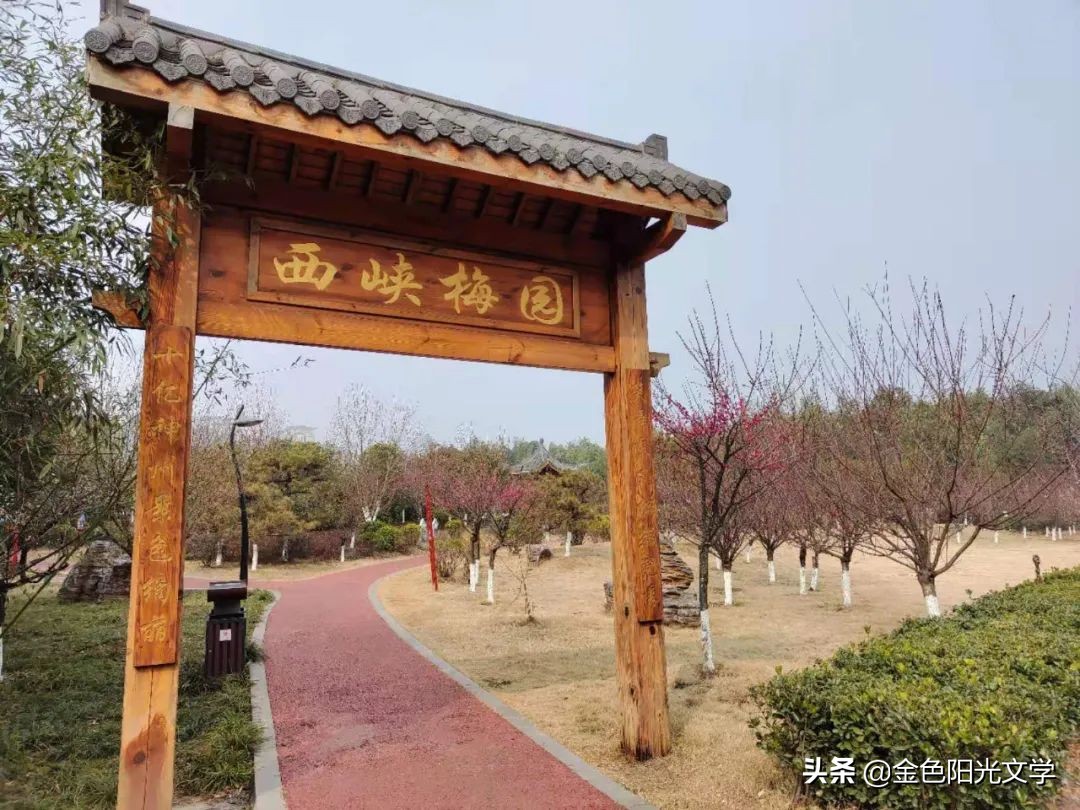 《“我”来了》《我的南瓜弟弟》《蜜蜂采蜜》