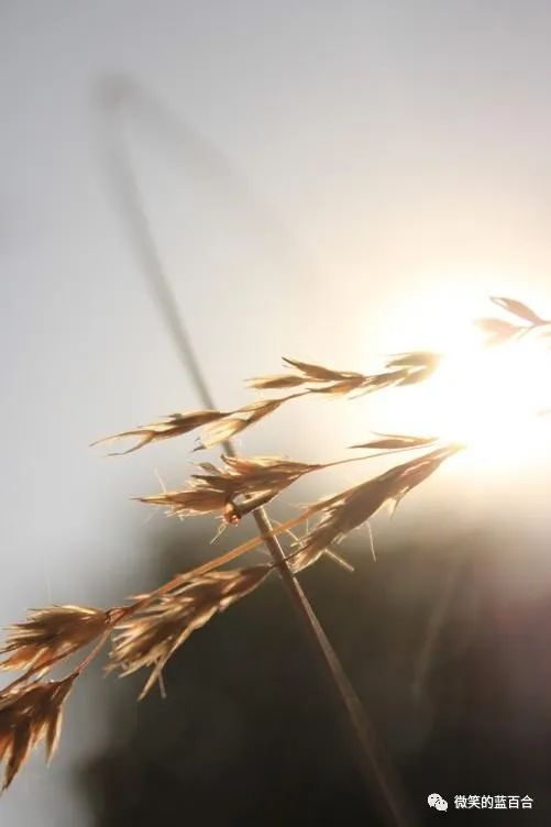 人心知耻,方能善有所为,恶有所止