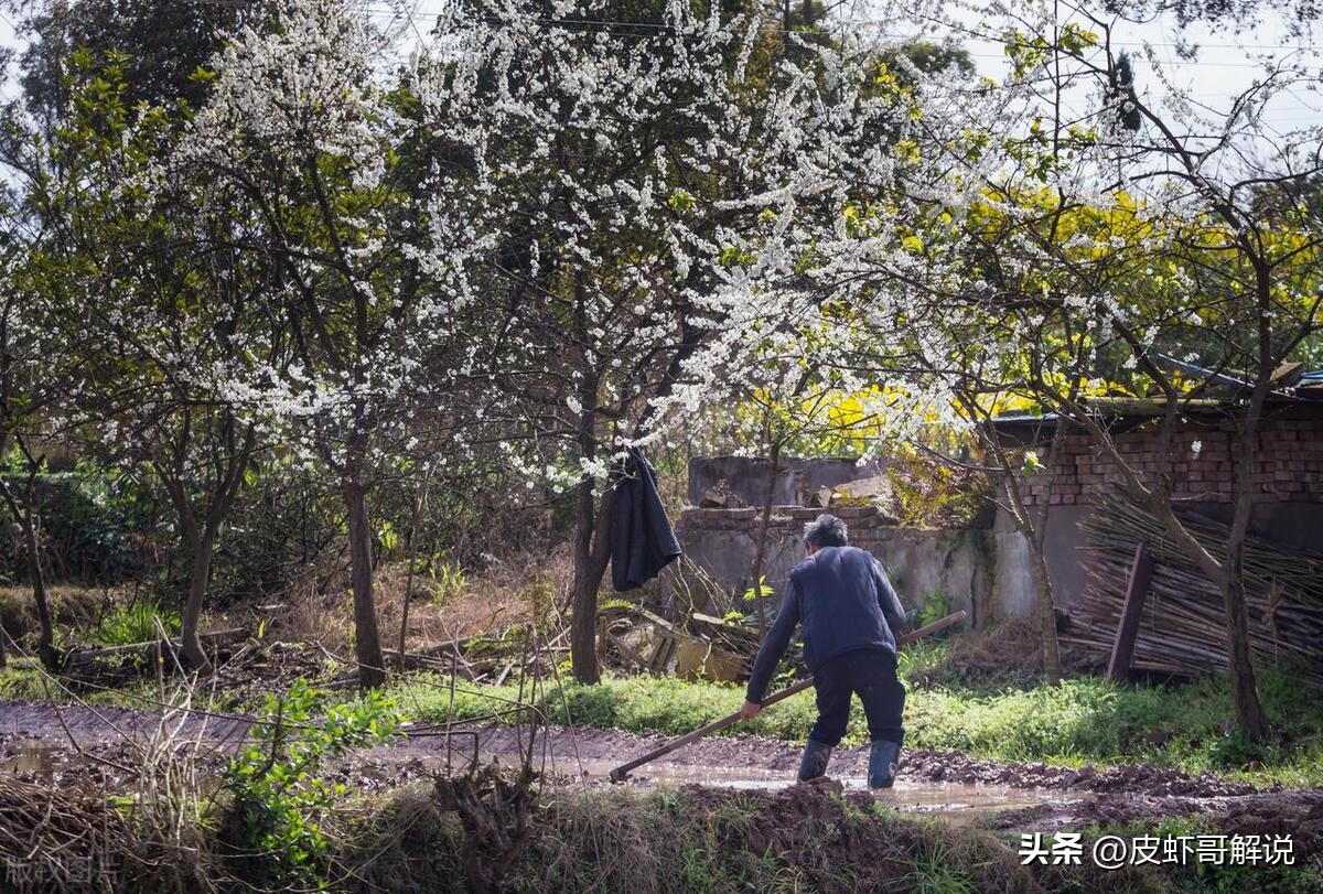 花季少女惨死油菜地,妙龄少女惨死广场灌木丛警方调查