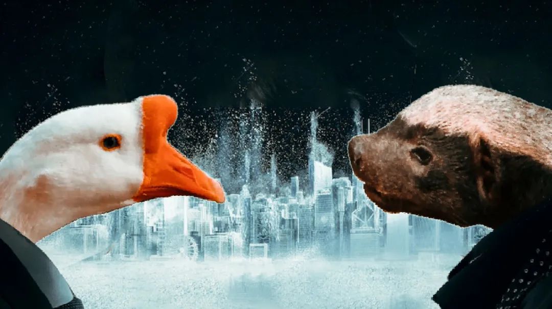 大鹅和平头哥,平头哥最新比赛谁赢了