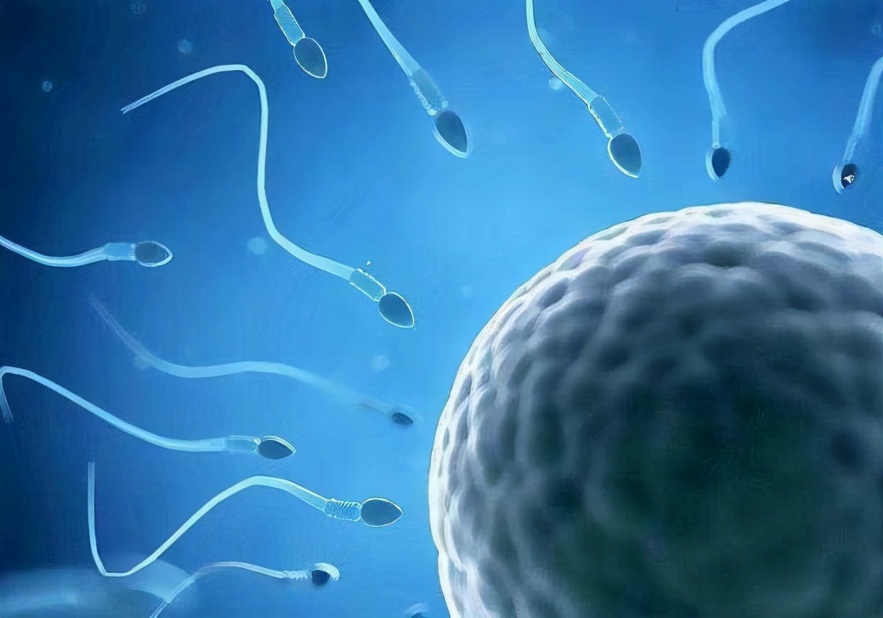 “人工受精”跟“人工授精”，仅有一字之差，二者的差异却不小