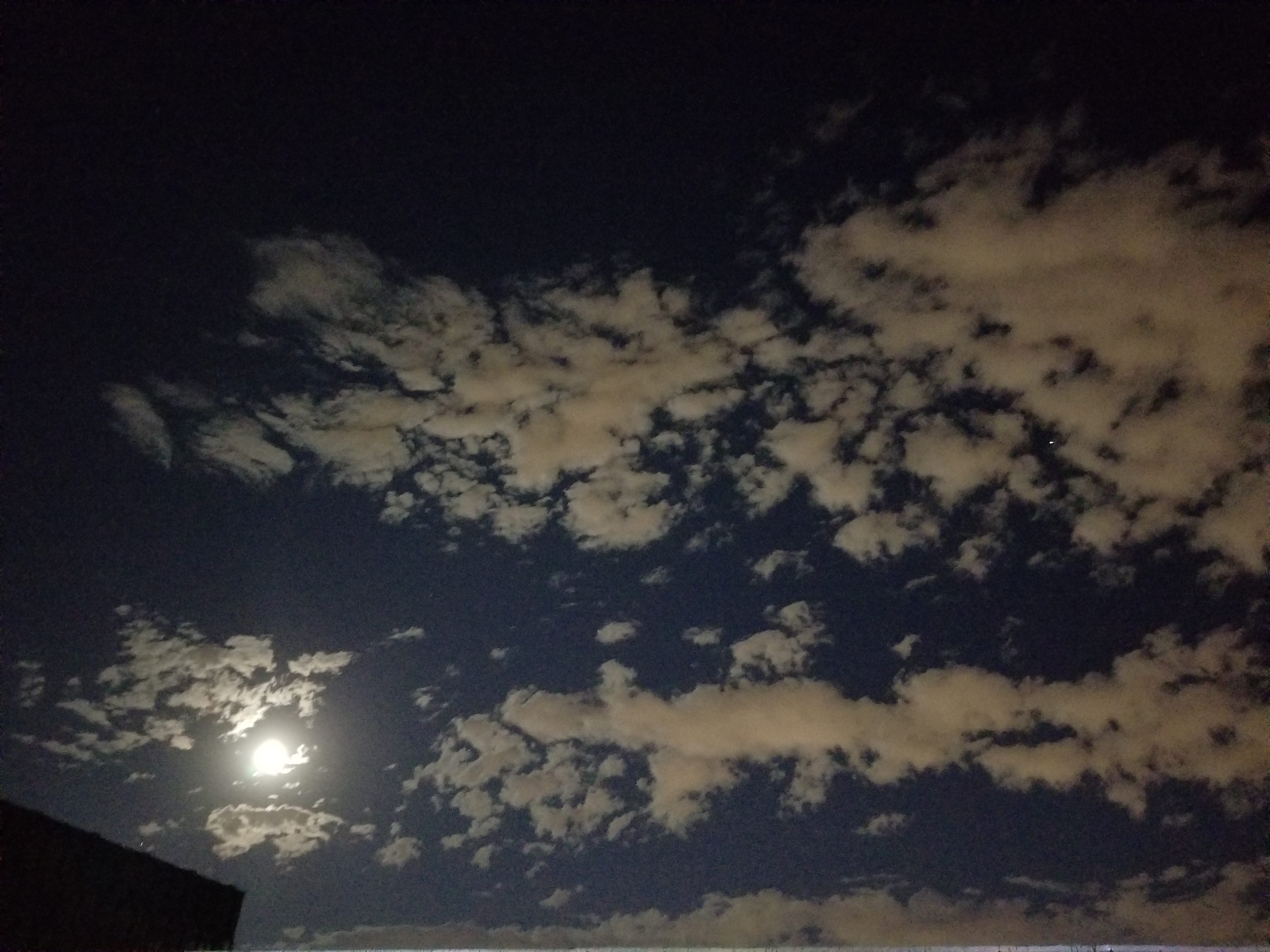 人为什么喜欢怀念从前,人为啥总喜欢怀念过去