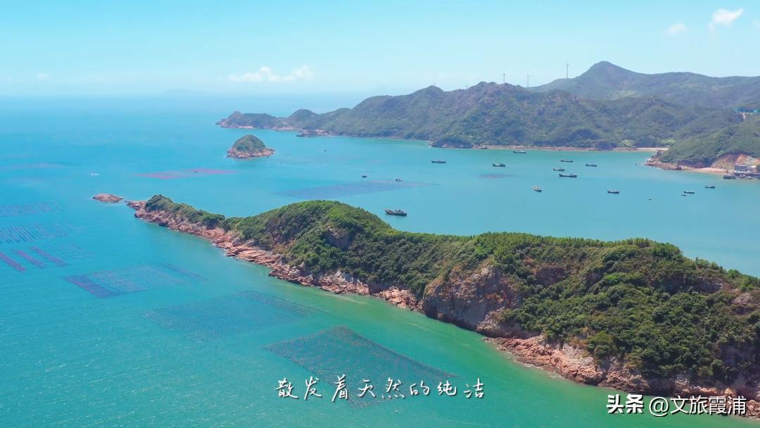 东海1号海钓,东海1号