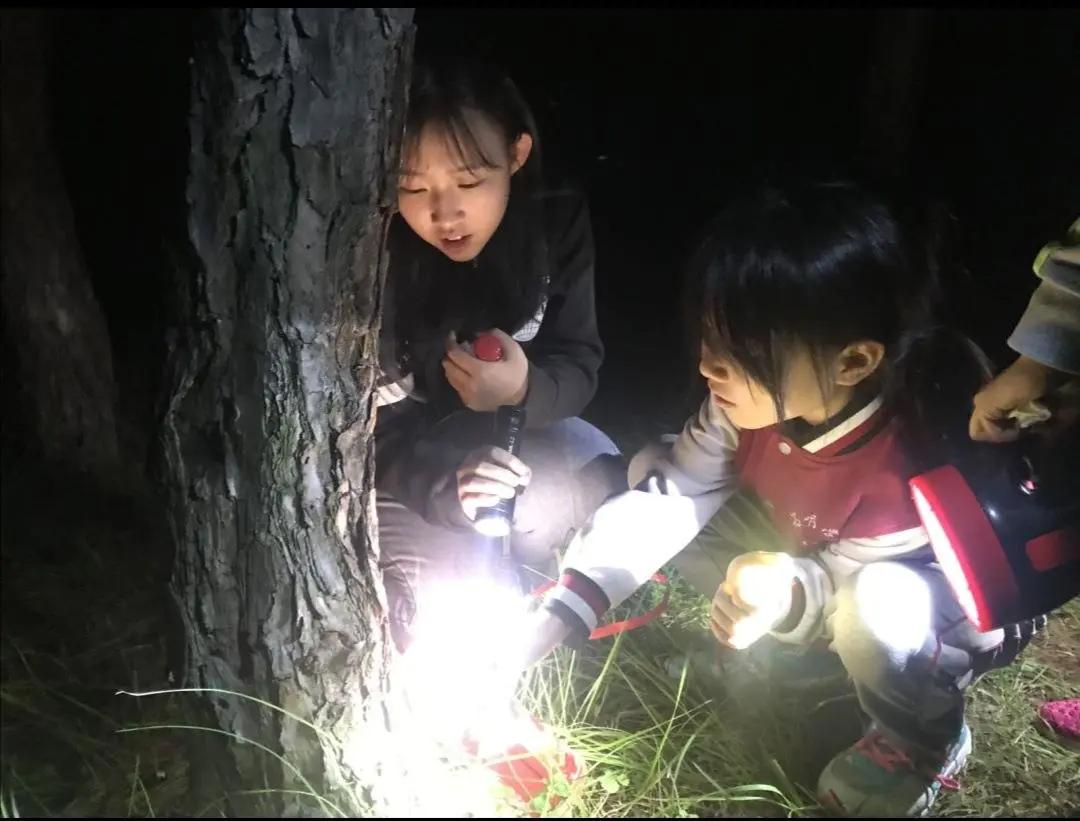 丽水市知了批发多少钱一斤,浙江丽水收知了多少一斤