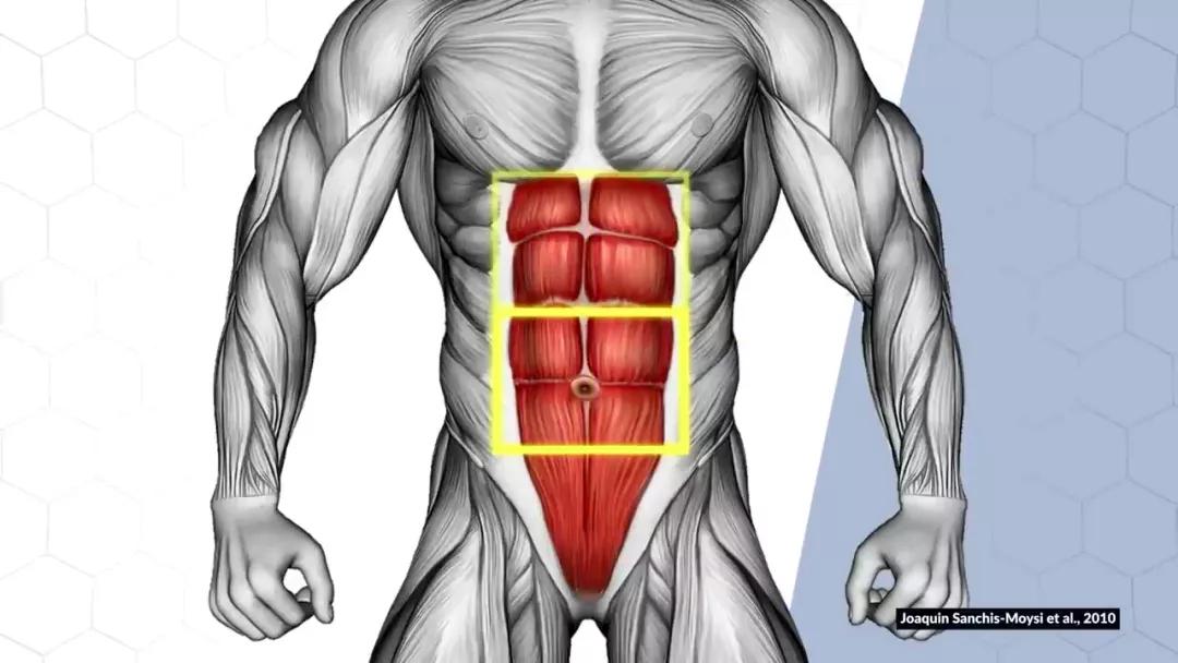 虐腹运动瘦肚子马甲线日本方法,沉浸式虐腹八分钟腹肌马甲线