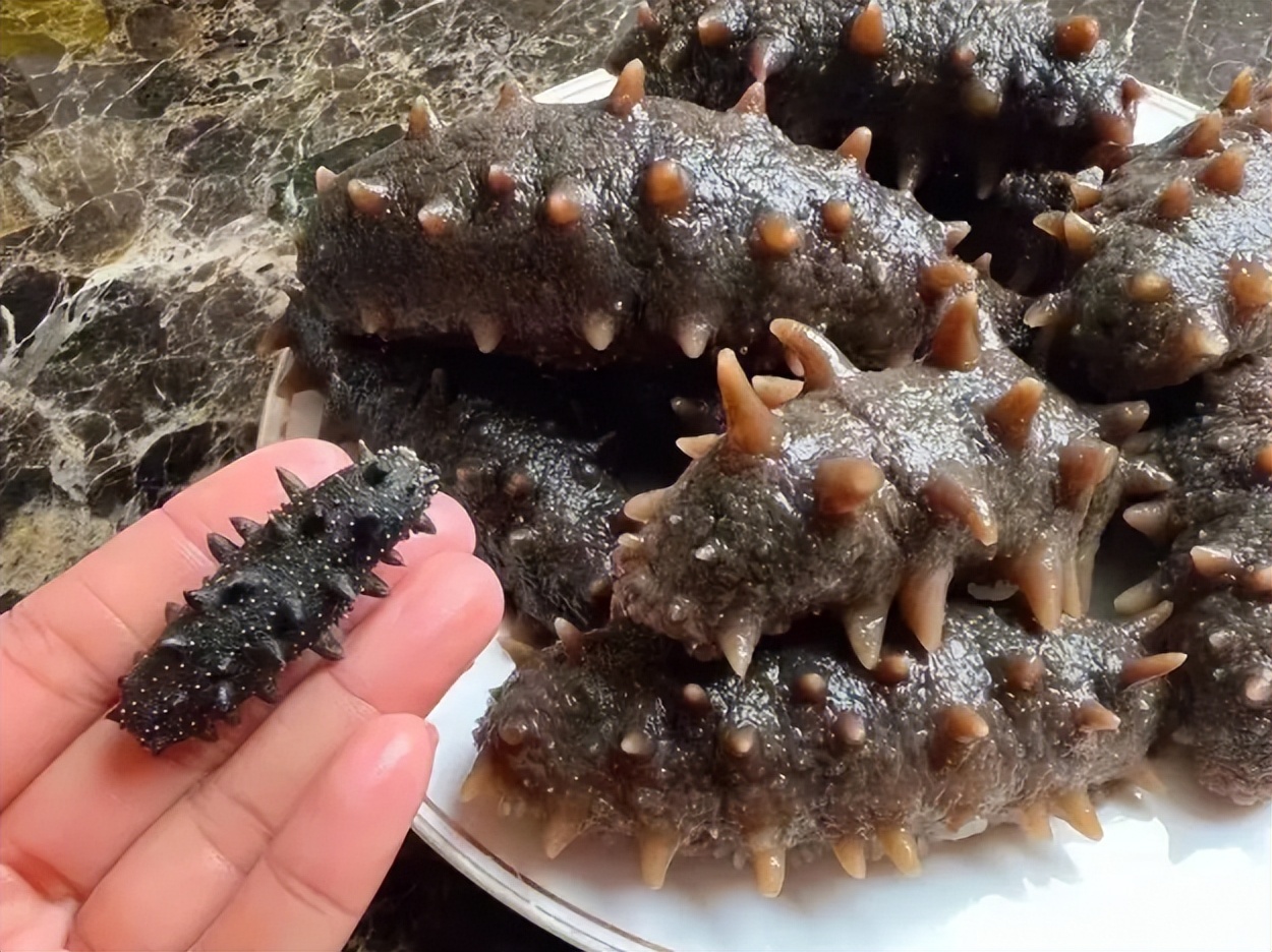 尸体药水泡海鲜，“色素”鸡蛋再现，315未曝光的菜场内幕太吓人