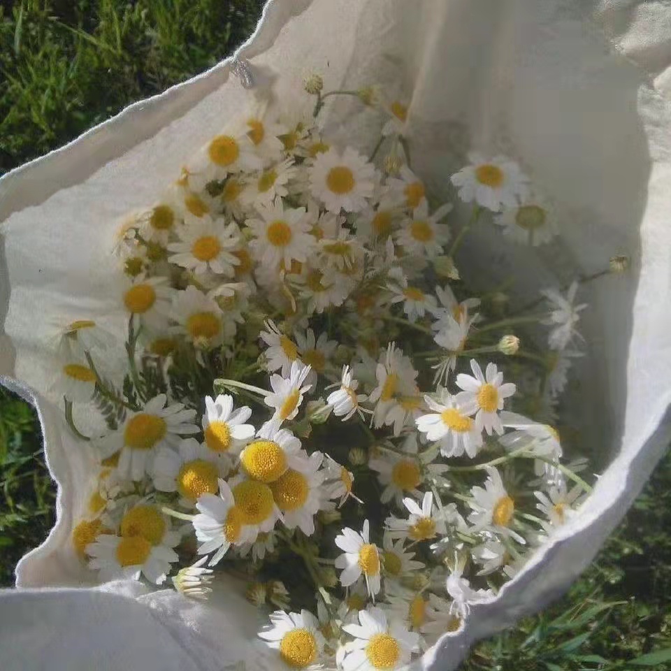 生日文案朋友圈高级简短,朋友圈简短日常文案