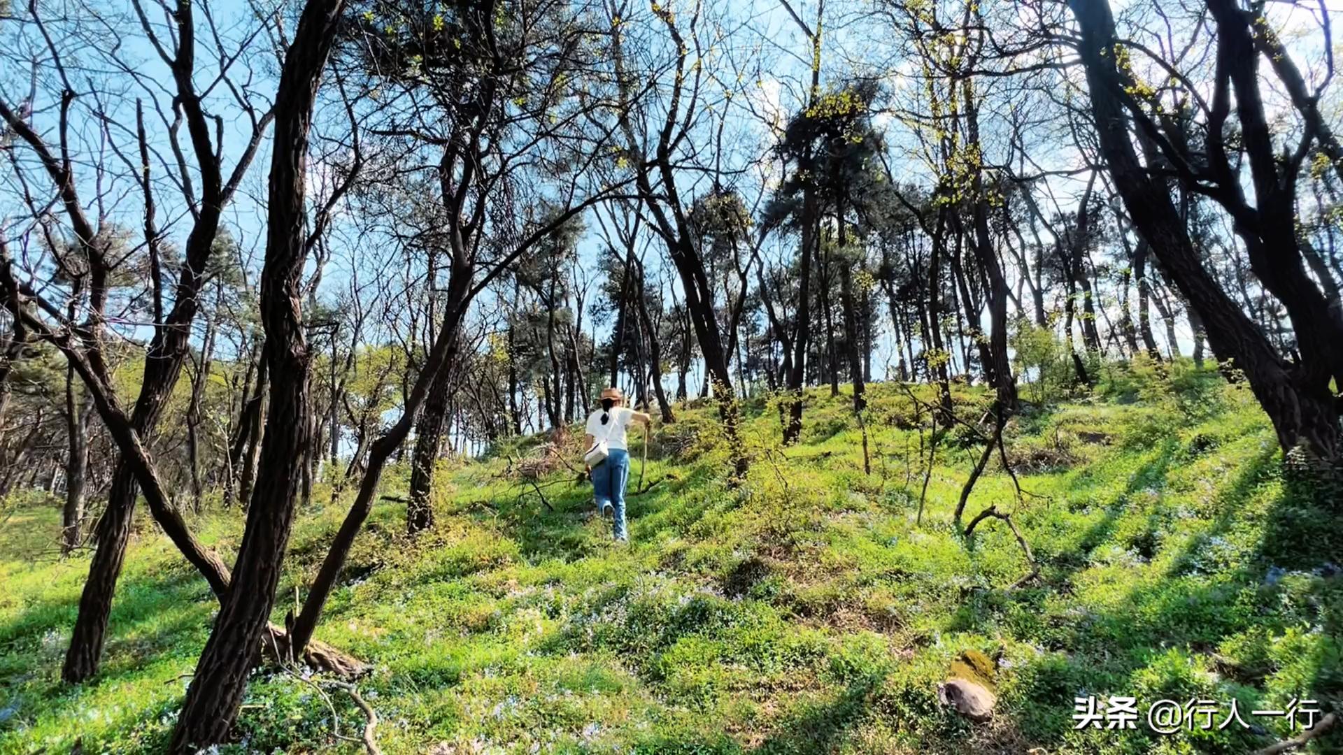 郑州周边夜晚露营地推荐,郑州露营旅游地点推荐