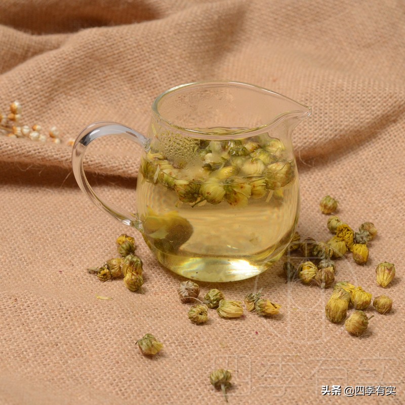 胎菊小菊花,含苞待放花娇艳