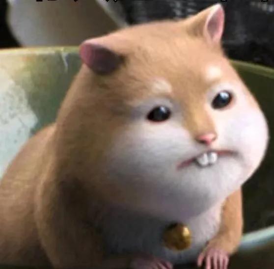 我印象最深的一本书,我印象最深的一部儿童小说