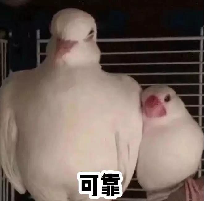 二氧化碳激光祛痘坑治疗后的效果,除了激光祛斑还有什么祛斑效果好