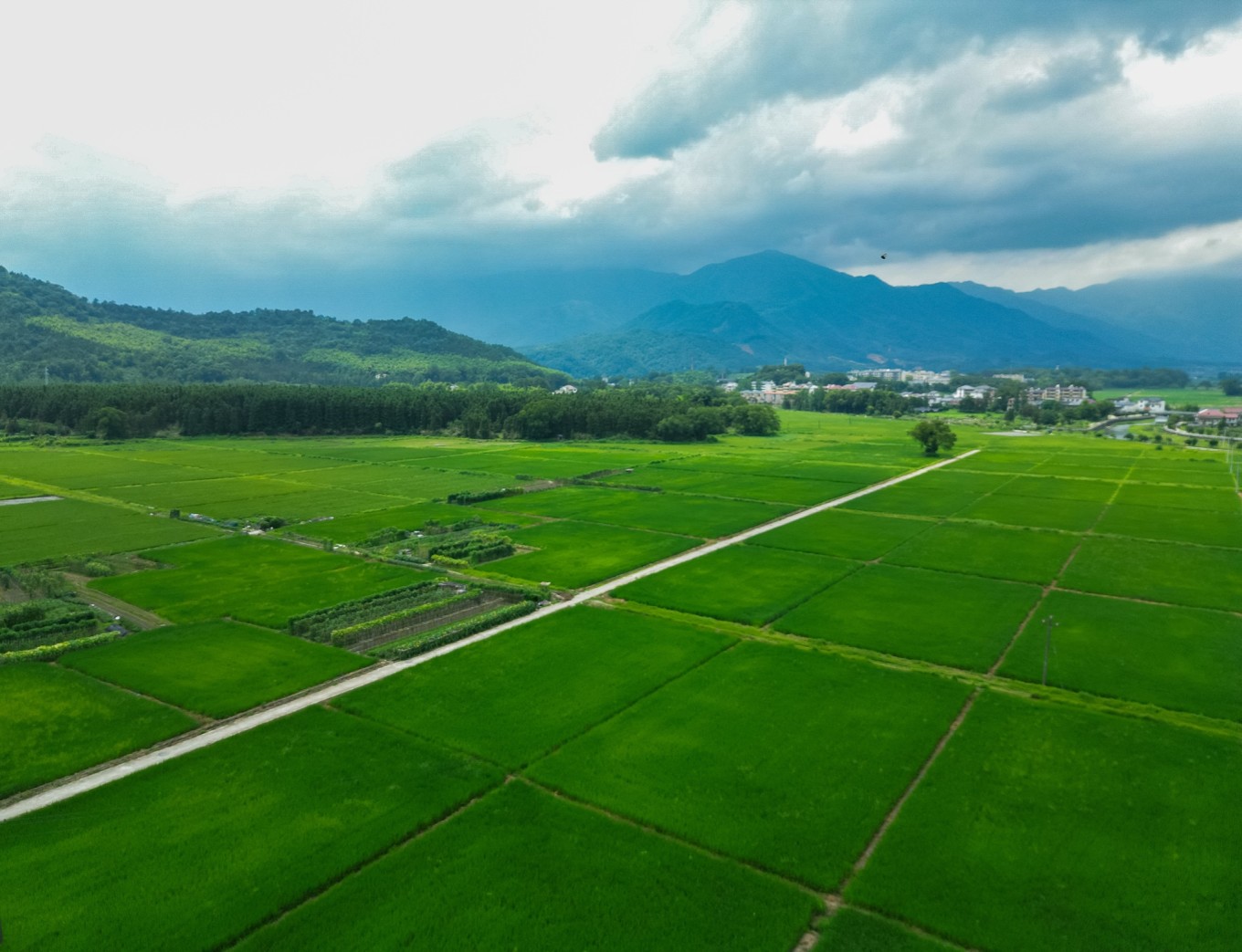 宜春冬天风景,关于江西宜春美景
