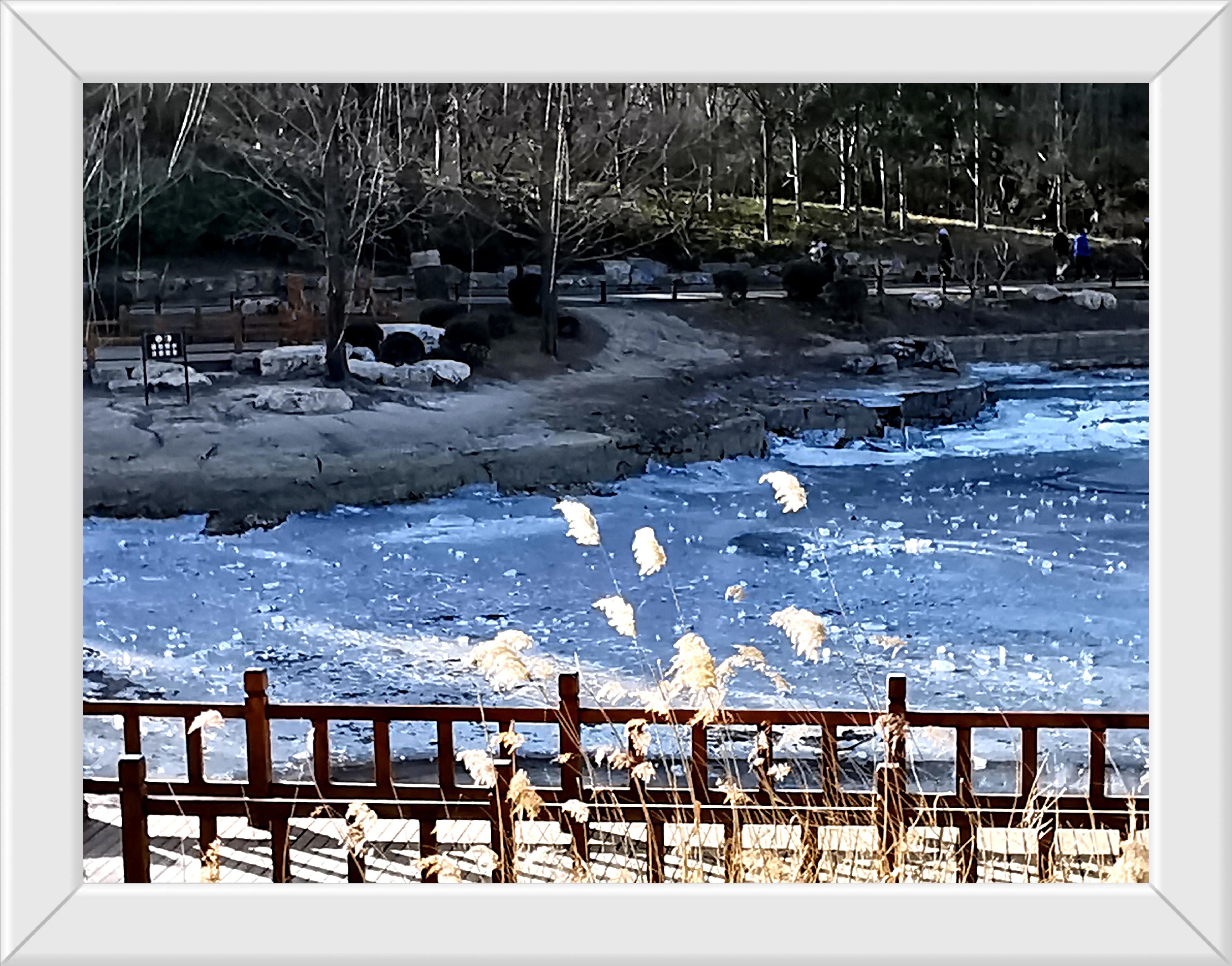 游玩趣乐,游玩陶然亭公园感受