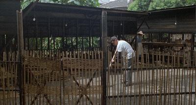 一口气看完国产高分神作,被严重低估的九部国产神作