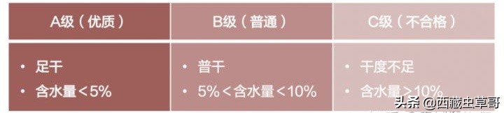 御草集虫草是真的假的,御草集冬虫夏草种植